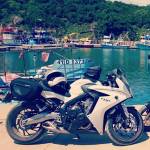 13254813_10154171817958559_8992873272756722449_o